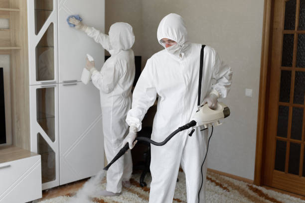 Mold Remediation for Rental Properties in Franklin Park, NJ